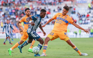 tigre