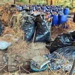 Entre pencas de maguey, hallan tambos con 200 litros de drogas sintéticas en Edomex