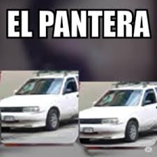 pantera