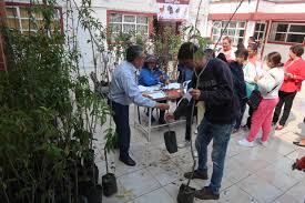 1 texcoco arb