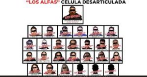 1 edomes cartel