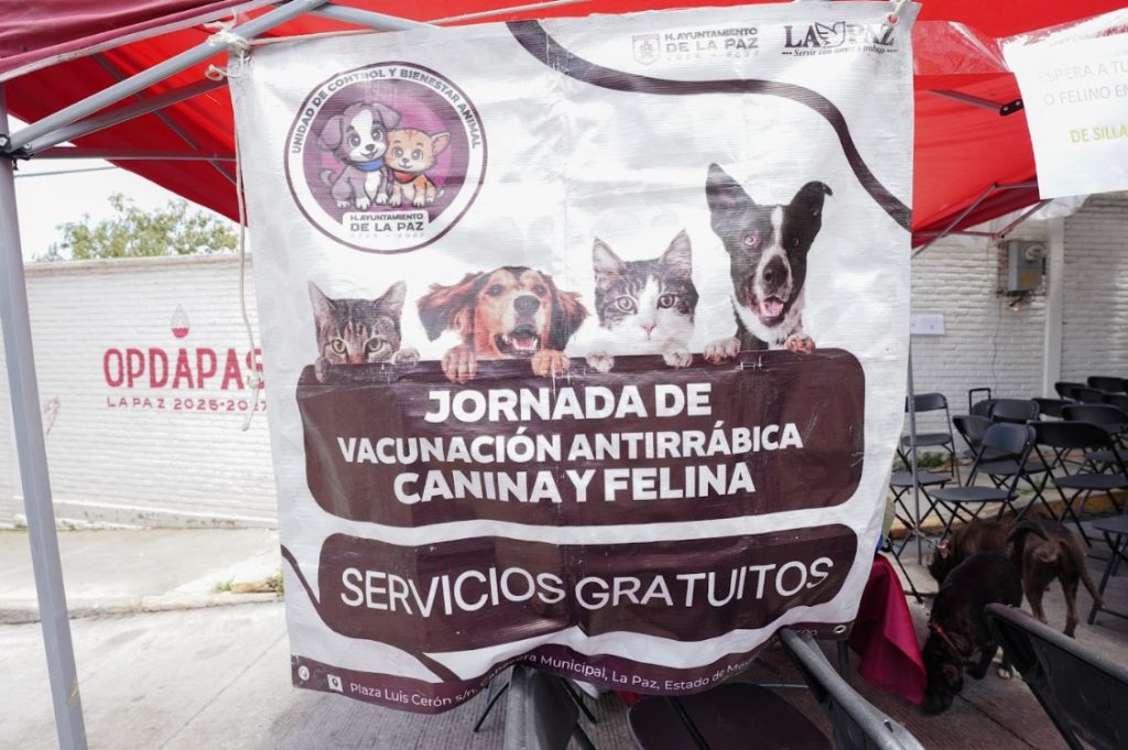 WhatsApp Image 2025-08-16 at 3.14.37 PM