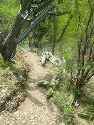 1oaxaca