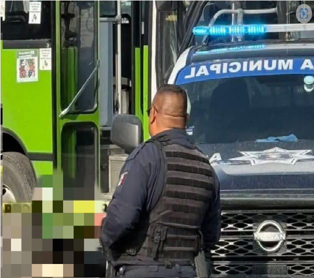 Sin título