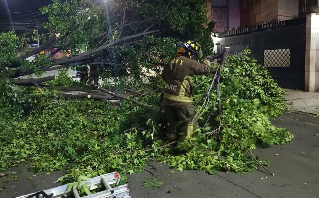 retiran-arboles-caidos-cdmx-liset