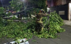 retiran-arboles-caidos-cdmx-liset