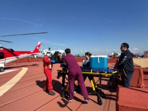 2e179762-db99-4d96-b9b7-83e11781ecb8