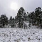 Frente Frío 16 entra a México este fin de semana… y 1era tormenta tropical se forma en Texas