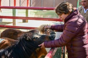 4631f5f0-2240-46c1-9464-0f716dc33569