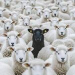 ¡Vendrá el ajuste de cuentas ante las instancias legales y judiciales!