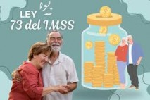 1 pension del imms