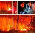 Tres incendios dejaron afectaciones en al menos 10 hectáreas de bosque en Perote, uno habría sido provocado