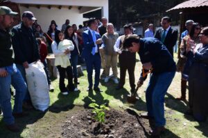 WhatsApp Image 2026-02-13 at 6.20.46 AM