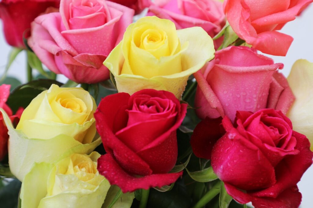 fb508a2e-4ebc-484b-b220-88a89e2baf74