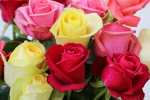 fb508a2e-4ebc-484b-b220-88a89e2baf74