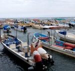 Alrededor de 25 mil pescadores desde Tampico Alto hasta Agua Dulce, recibirán apoyo de 8 mdp federales y 4 mil del Estado tras contaminación por hidrocarburo
