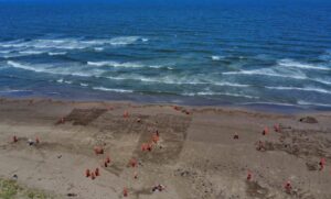 1 recoleccion de hidrocarburo