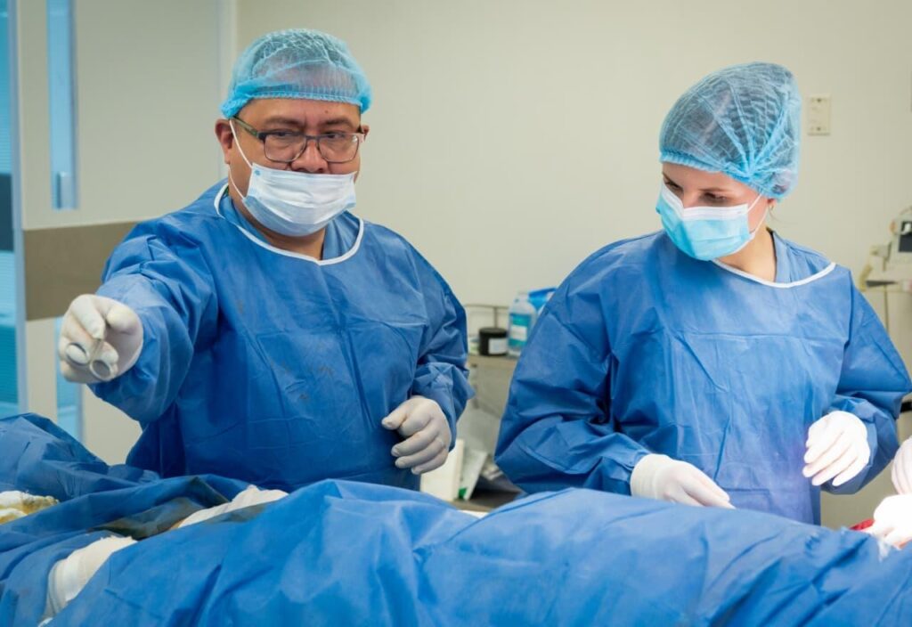 3c034582-0cb8-434a-8c88-f74f5485fb3b