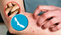 1 catorce veracruzanos