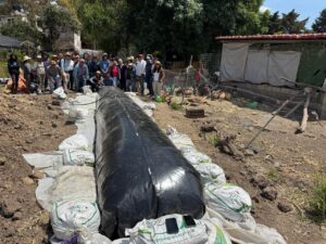 WhatsApp Image 2026-04-16 at 11.35.18 AM