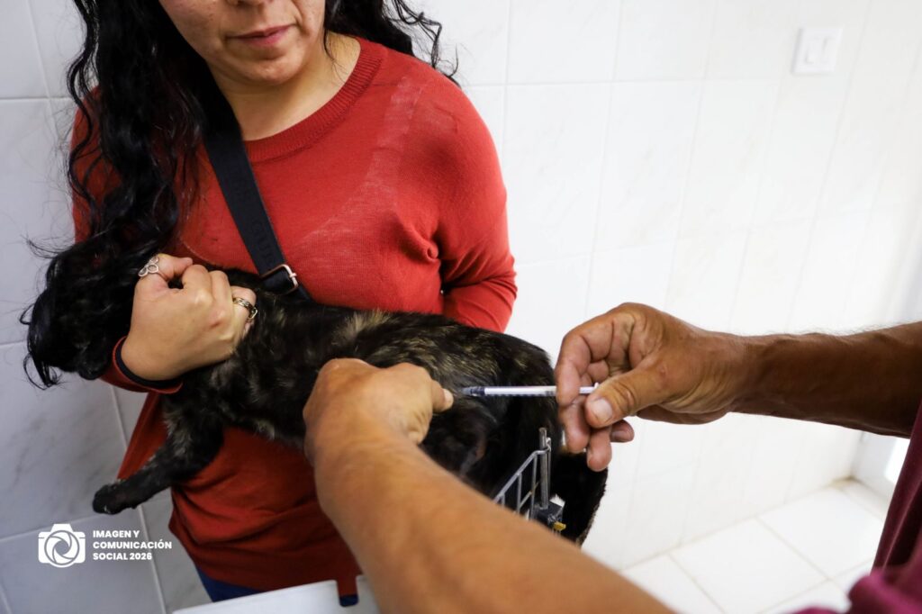 WhatsApp Image 2026-04-20 at 3.14.10 PM