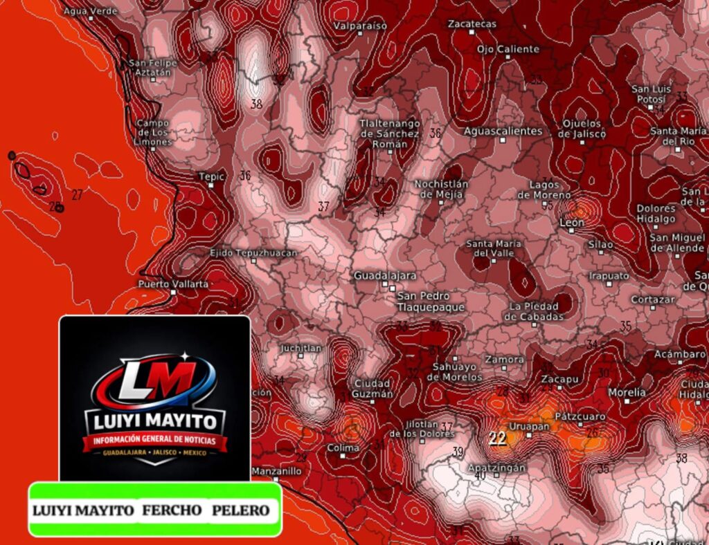 WhatsApp Image 2026-04-29 at 9.12.25 AM