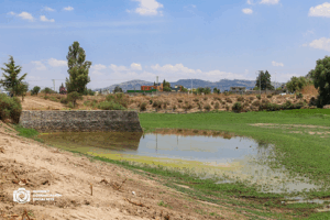 c95508_3683e6a809ad4ebb9cc7fbff5a2e12e2~mv2