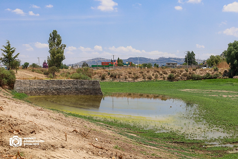 c95508_3683e6a809ad4ebb9cc7fbff5a2e12e2~mv2