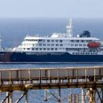 ¿Qué es el hantavirus y cuáles son sus síntomas? OMS no descarta contagio humano a humano en crucero