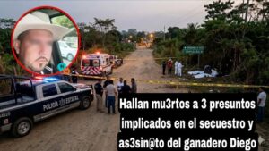 1 veracruz