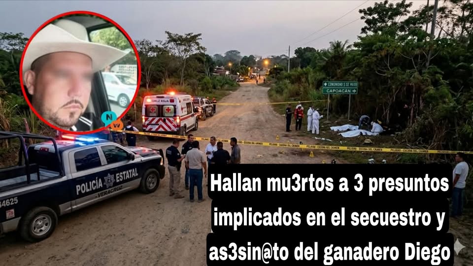 1 veracruz