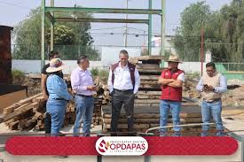 1 chicoloapan carcamos