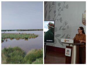 20260616_125852-COLLAGE