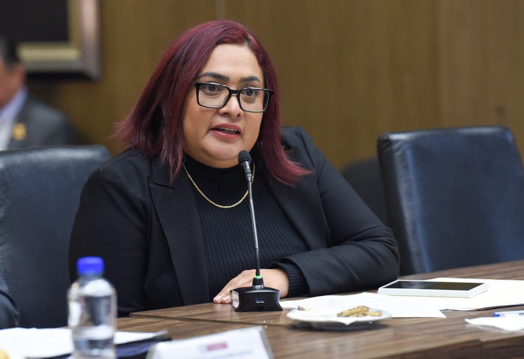 Hasta-18-anos-por-usar-drones-en-robos-plantea-Morena-en-Edomex2-1024x702
