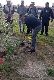 1 chicoloapan planta arboles