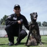 DE CALLEJEROS A GUARDIANES DE LA LEY: RESCATAN EN LERMA A FAMILIA CANINA DEL ABANDONO