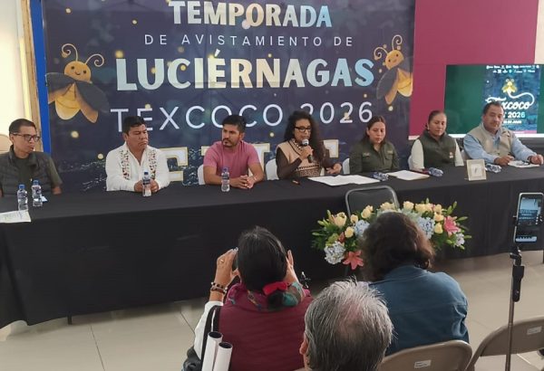 600_noticias_20260706203349_47454