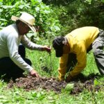 Gobierno del Edomex restaura bosques de ribera para proteger ríos y garantizar la conservación del agua
