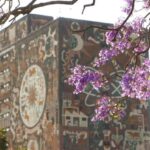 UNAM aclara: Alumnos con Pase Reglamentado tienen su lugar asegurado, pero deben esperar nuevas fechas