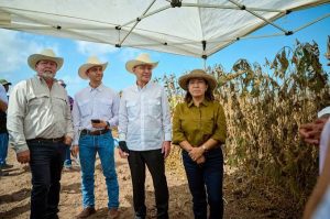 1 sonora lidera crecimiento de campo