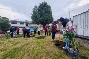 IMG-20260809-WA0002