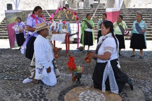 IMG_6118