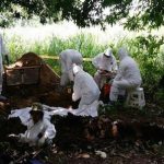 Informa FGET hallazgo de 18 víctimas en 17 fosas clandestinas en Tabasco